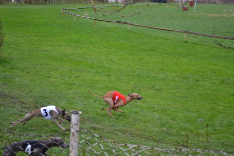 Inter Bohemia Kolin a IGCC 2012 058